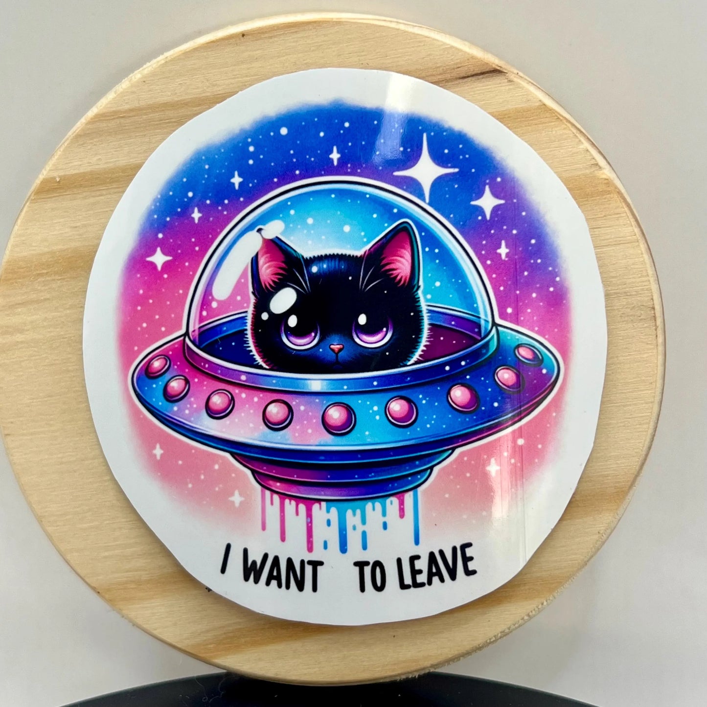 Cat In Space Sticker / Says I Want to Leave / Funny Anti Social Introverts Sticker / Water Bottle Decal